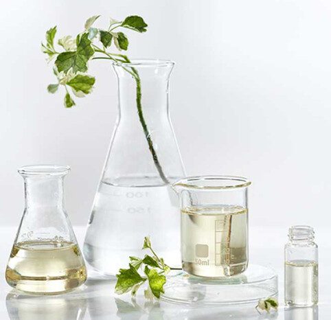 The Science Behind Plant-Based Ingredients in Skincare