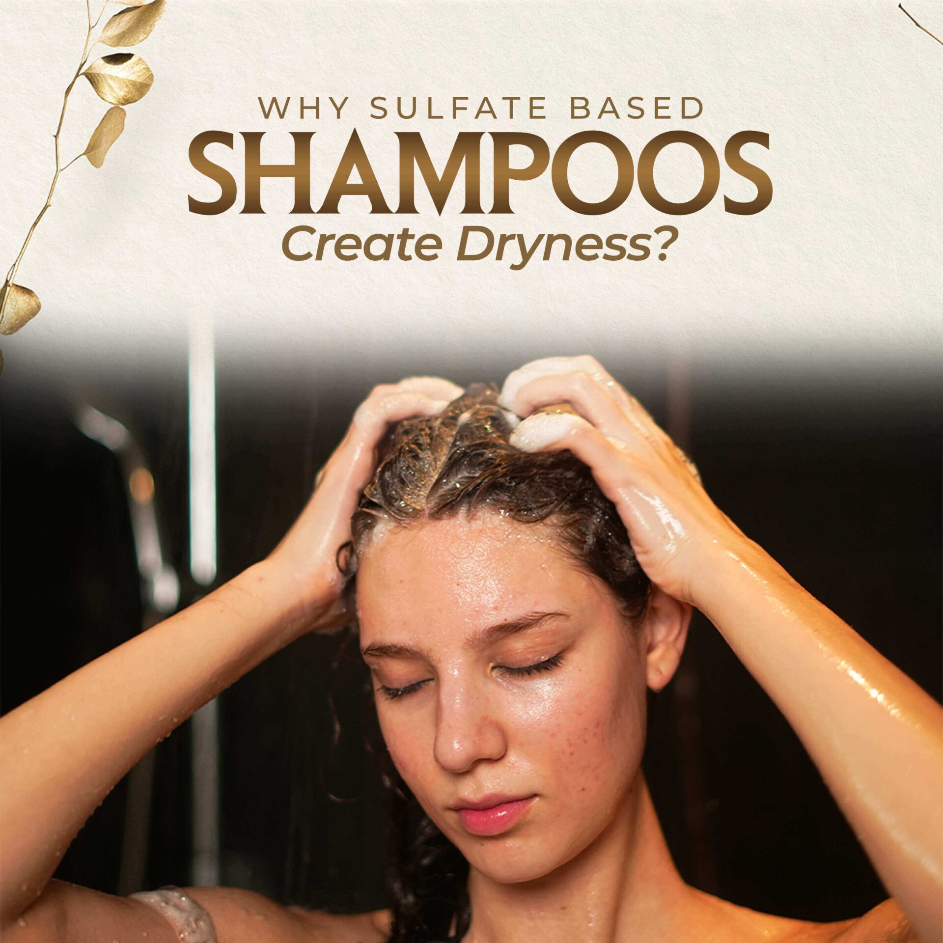 Why Sulfate Based Shampoos Create Dryness